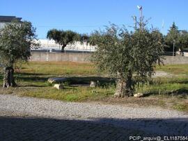 Fotografia interior, exterior e areas envolventes