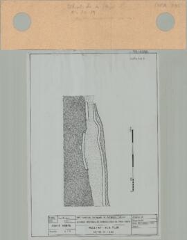 Levantamento (1988-10)