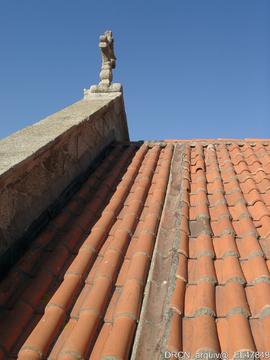 Fotografia 001