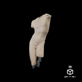 Efebo  (Torso)
