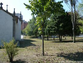 Fotografia 015