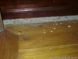 Intervenção de conservação e restauro