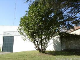 Edificio contíguo