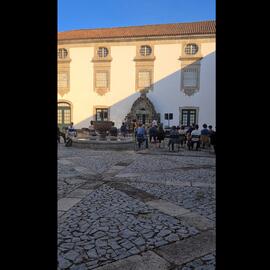 Vídeo 5