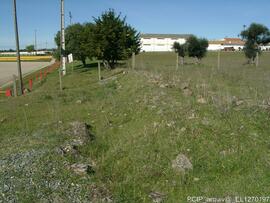 Fotografia 013