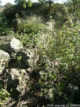 Fotografia 003