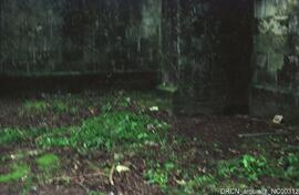 Fotografia 003