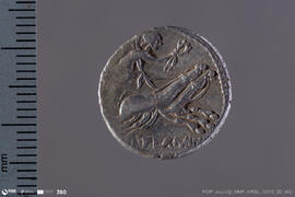Denarius