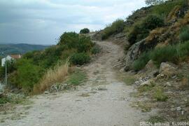 Fotografia 002