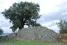 Fotografia (exterior)