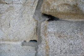 Fotografia 005