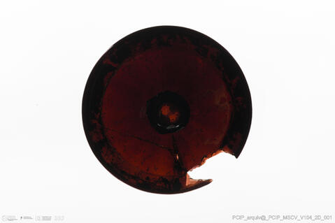 Open original Objeto digital