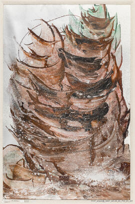 Os meus barcos são diferentes