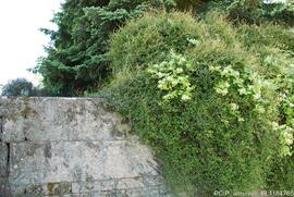 Fotografia exterior e area envolvente