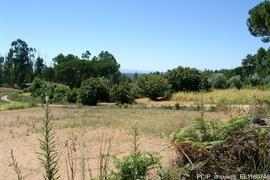 Fotografia do local e imediações