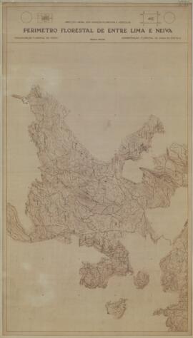 Perímetro Florestal - 41C [s.d.]