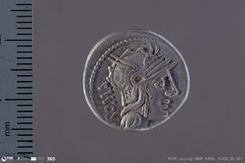Denarius