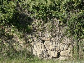 Envolvente