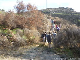 Fotografia 002