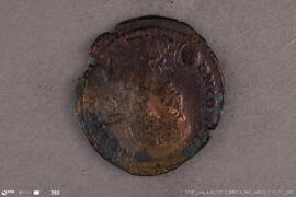 Tesouro monetário do Troino