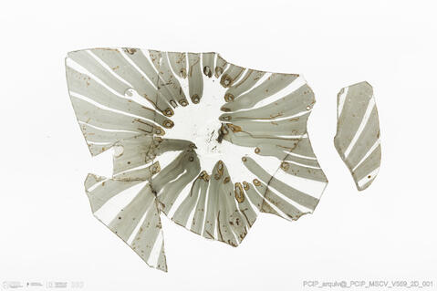 Open original Objeto digital