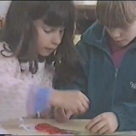 Registo videográfico