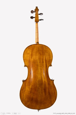 Violoncelo