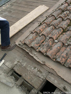 Pormenor do telhado da