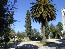 Fotografia (exterior)