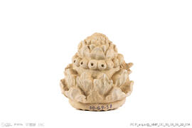 Fragmento alcachofra