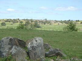 Fotografia 002