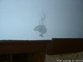 Intervenção de conservação e restauro