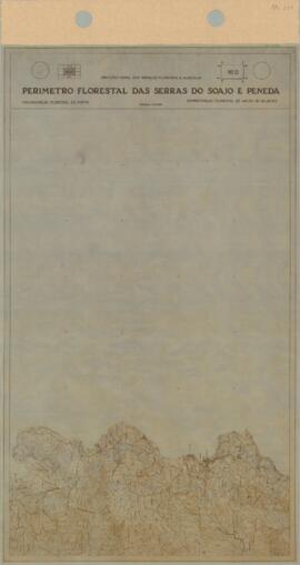 Perímetro Florestal - 16D [s.d.]