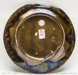 Prato musgado repteis