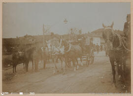 Álbum fotográfico - Passeios no Campo; saltos a cavalo; etc