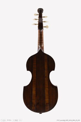Viola de arco tiple