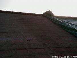 Fotografia 005