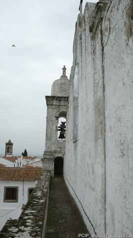 Fotografia 029