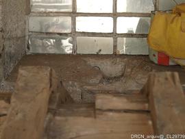 Acompanhamento da Intervenção de Obras - Fotografia 065