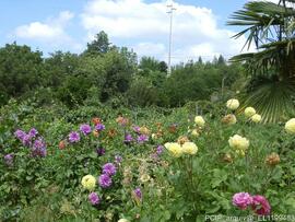 Área envolvente / acessos