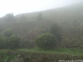 Fotografia 005