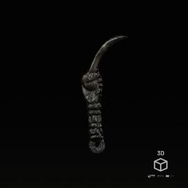 Limpa dentes com figa