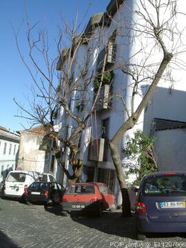 Área envolvente / imediações