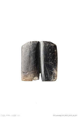 Open original Objeto digital