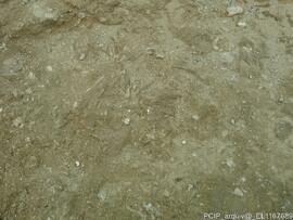 Sondagens  arqueológicas