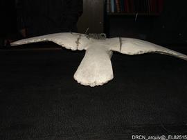 Pomba