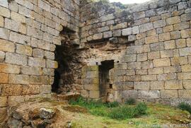 Registo Fotográfico