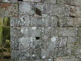 Fotografia 008