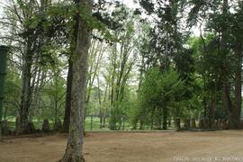 Parque