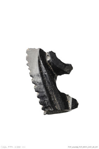 Open original Digital object